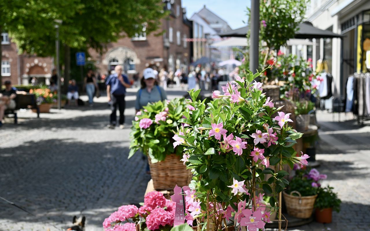 Sommerblomster på gågaden i Svendborg