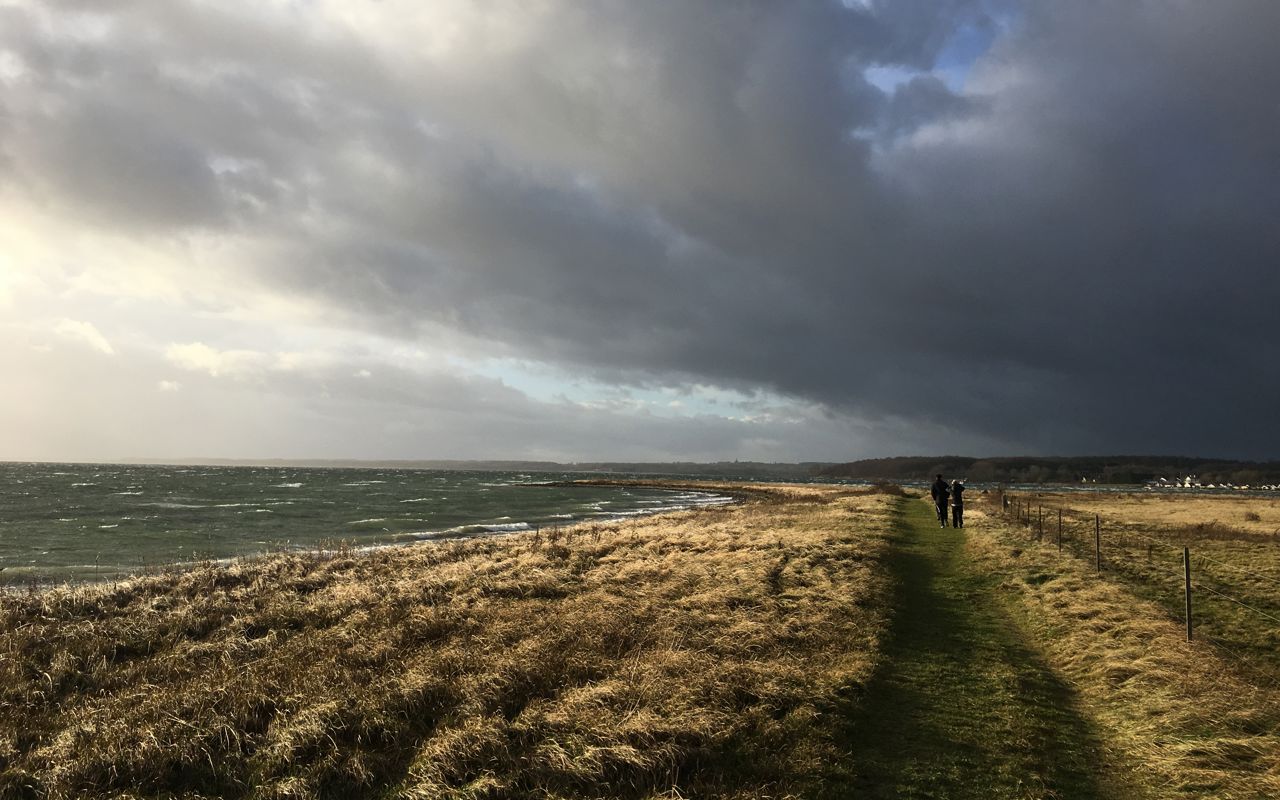 Thurø Rev