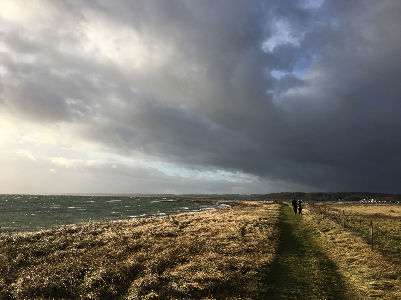 Thurø Rev