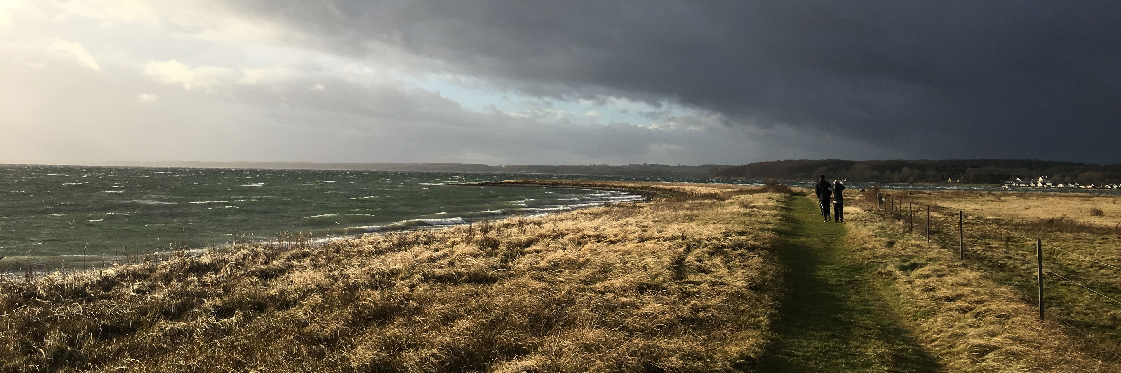 Thurø Rev