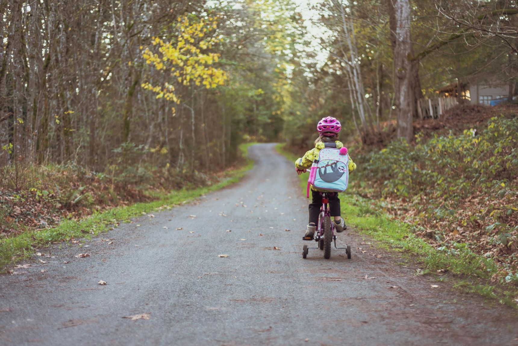 Vejen frem