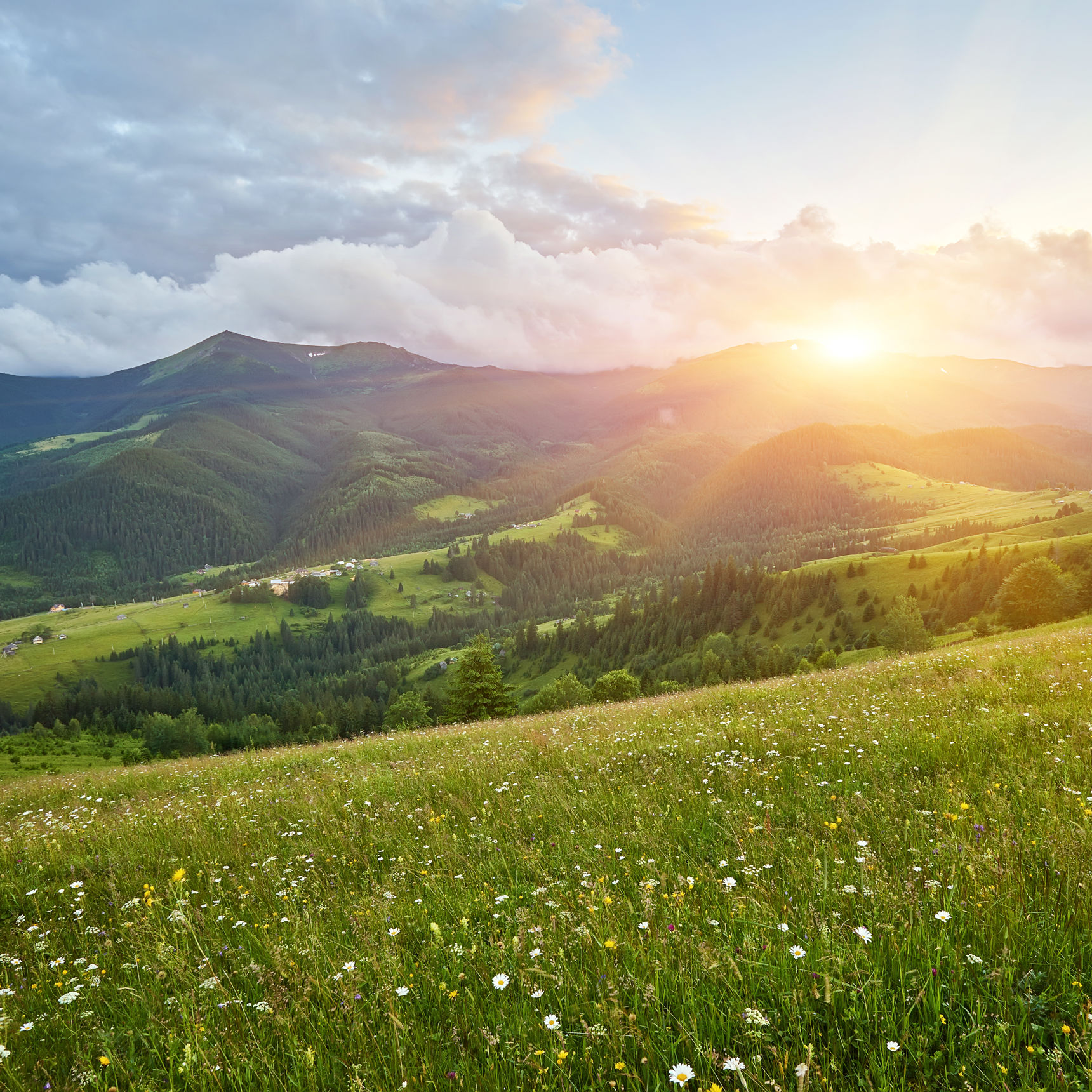Sommer landskab med udsigt til bjerge og solnedgang