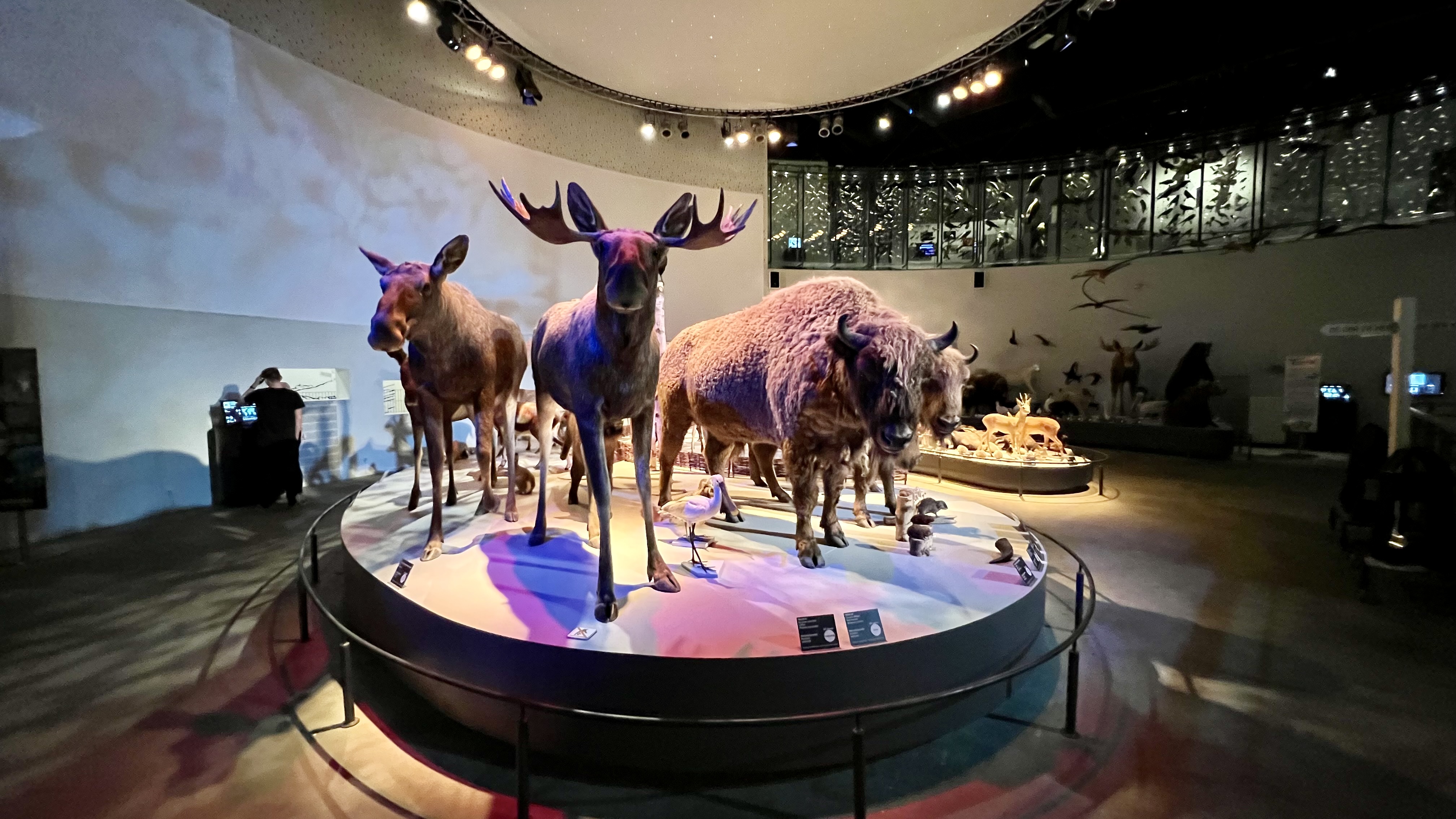 Naturama4 (1)