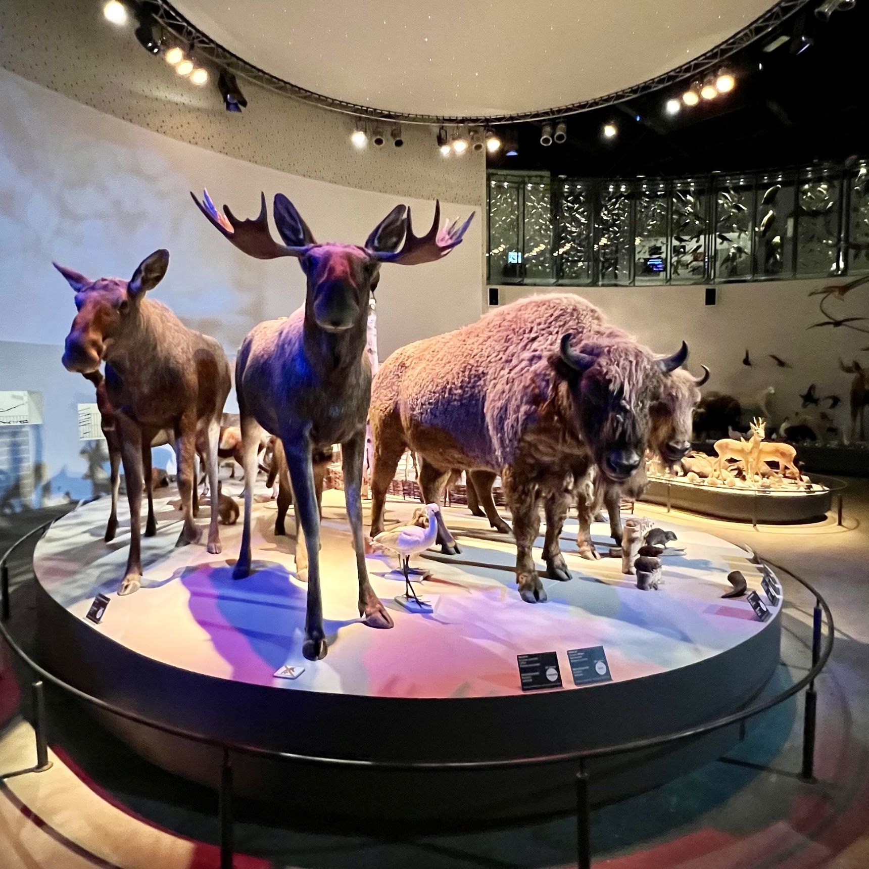 Naturama4 (1)
